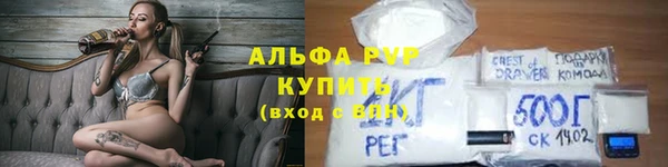 стаф Вяземский