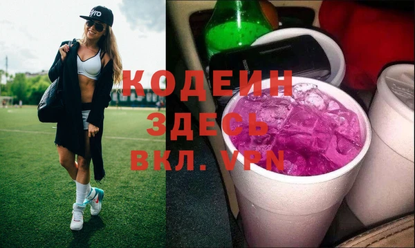 стаф Вяземский