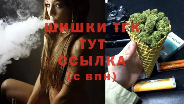 сатива Вязники