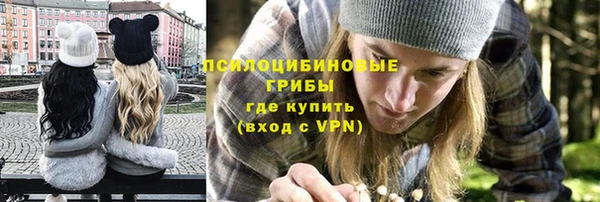 твердый Вязьма