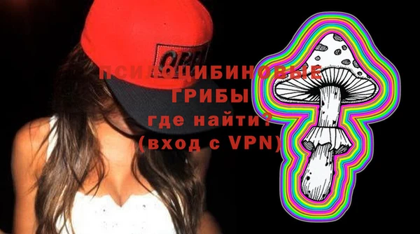 сатива Вязники