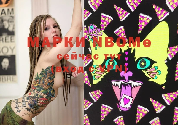 стаф Вяземский