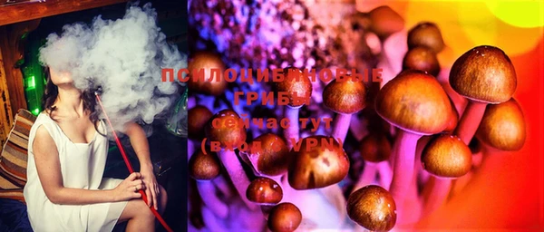 твердый Вязьма