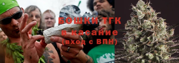 стаф Вяземский