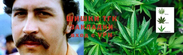 стаф Вяземский