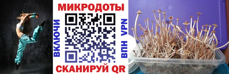 Галлюциногенные грибы ЛСД  купить наркотики цена  Железногорск 